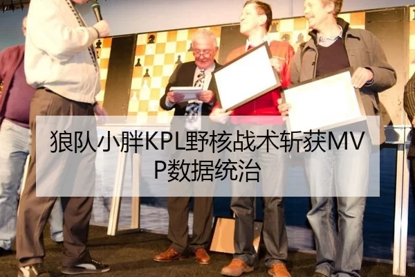 狼队小胖KPL野核战术斩获MVP数据统治