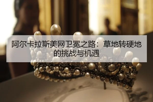 a-er-ka-la-si-mei-wang-wei-mian-zhi-lu-cao-di-zhuan-ying-di-de-tiao-zhan-yu-ji-yu-2-893.jpg