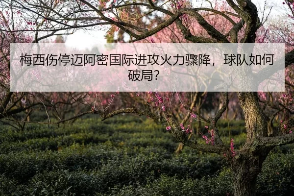 梅西伤停迈阿密国际进攻火力骤降，球队如何破局？